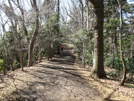 20160226hike (69)